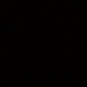 Meet your Posher, Trey